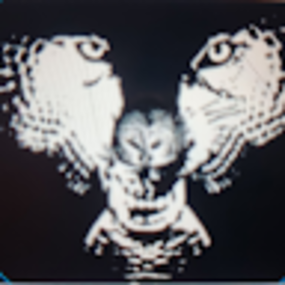 inquisitiveowl